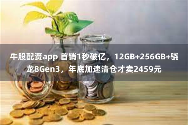 牛股配资app 首销1秒破亿，12GB+256GB+骁龙8Gen3，年底加速清仓才卖2459元