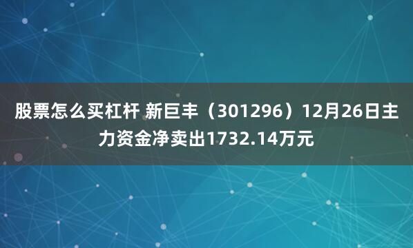 股票怎么买杠杆 新巨丰（301296）12月26日主力资金净卖出1732.14万元