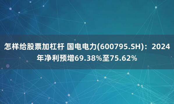 怎样给股票加杠杆 国电电力(600795.SH)：2024年净利预增69.38%至75.62%