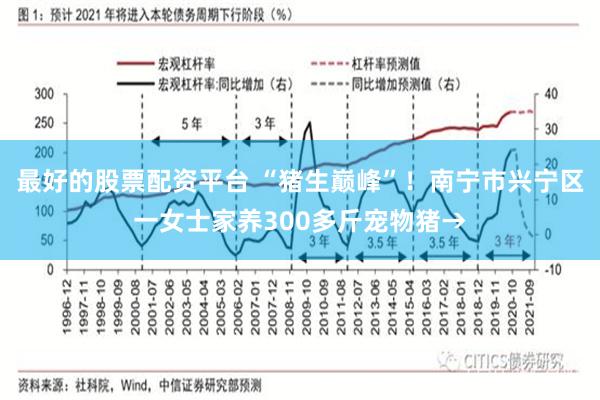 最好的股票配资平台 “猪生巅峰”！南宁市兴宁区一女士家养300多斤宠物猪→