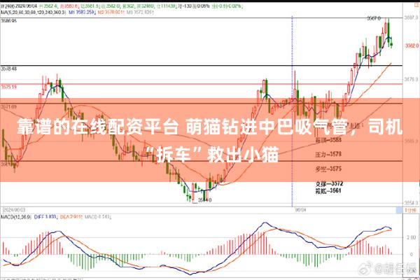 靠谱的在线配资平台 萌猫钻进中巴吸气管，司机“拆车”救出小猫