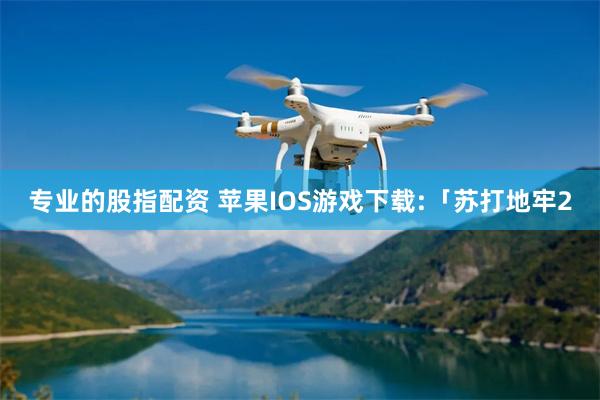 专业的股指配资 苹果IOS游戏下载:「苏打地牢2