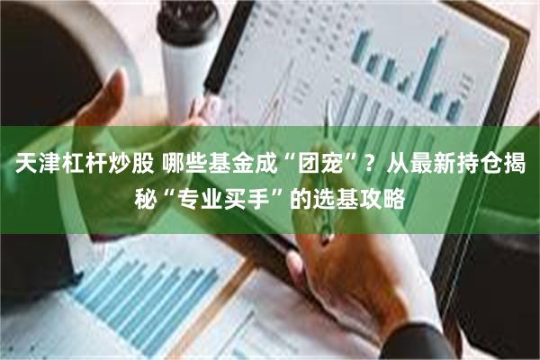 天津杠杆炒股 哪些基金成“团宠”？从最新持仓揭秘“专业买手”的选基攻略